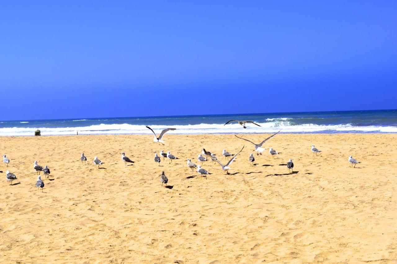 Casabay Sidi Rahal, Appartement Avec Acces Direct A La Plage Et Piscine Sidi Rahal  Exterior foto